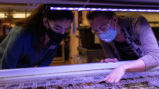 Two students working in the Wet Lab