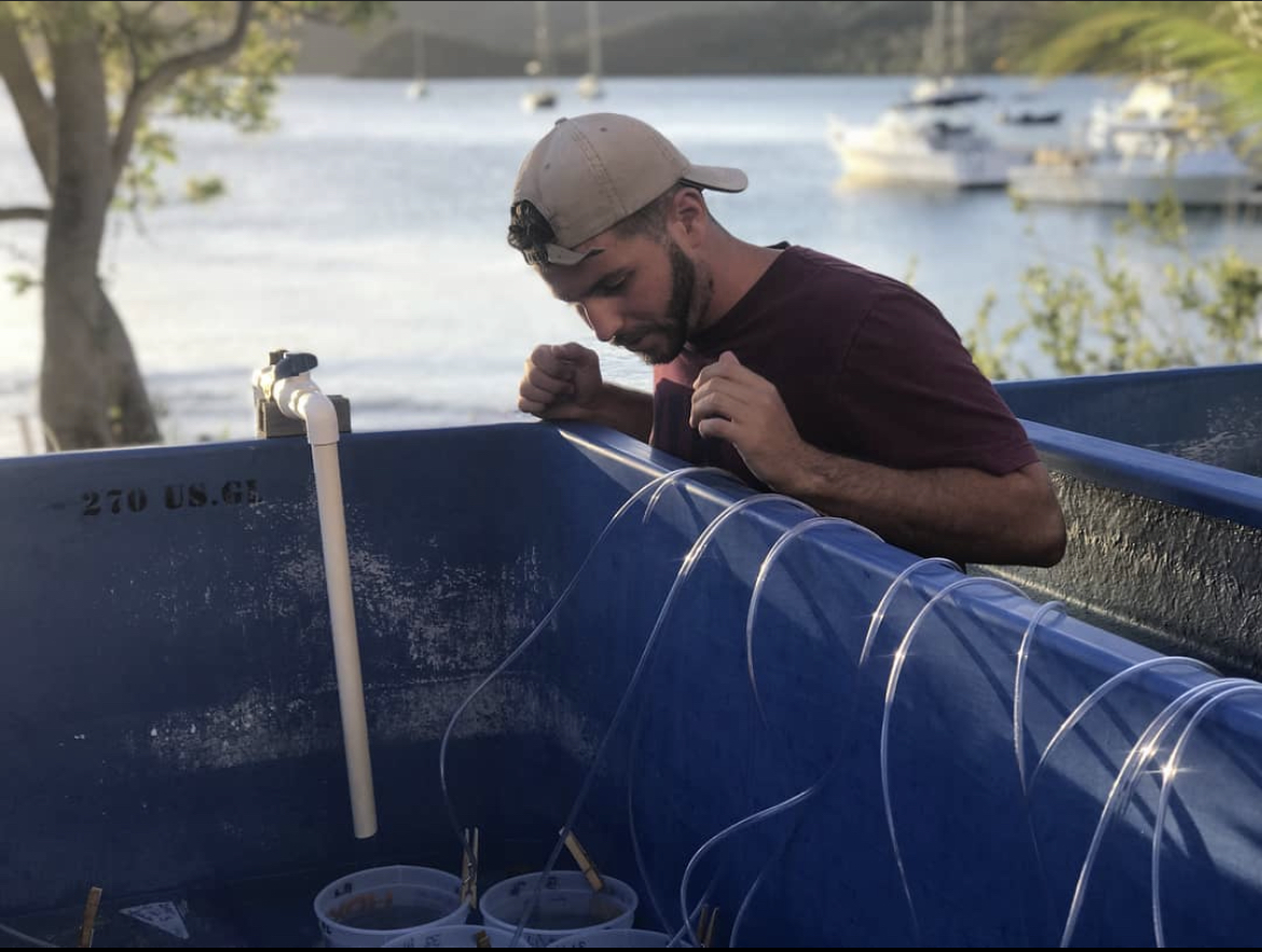 Alex Veglia doing virus research