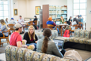 Students at the university library