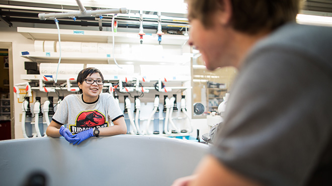 Students work on aquarium systems at RWU lab.