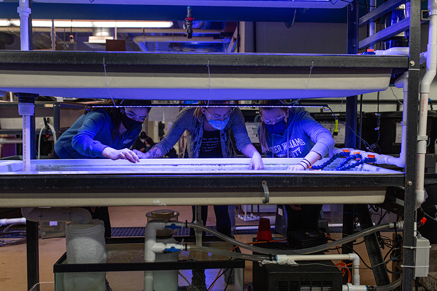 Students working in the Wet Lab 