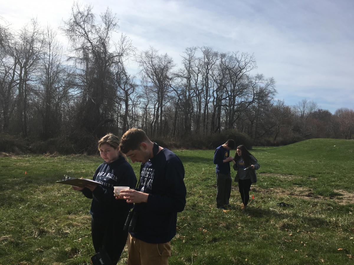 Students inspect a sample.