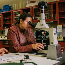 image fo student using microscope