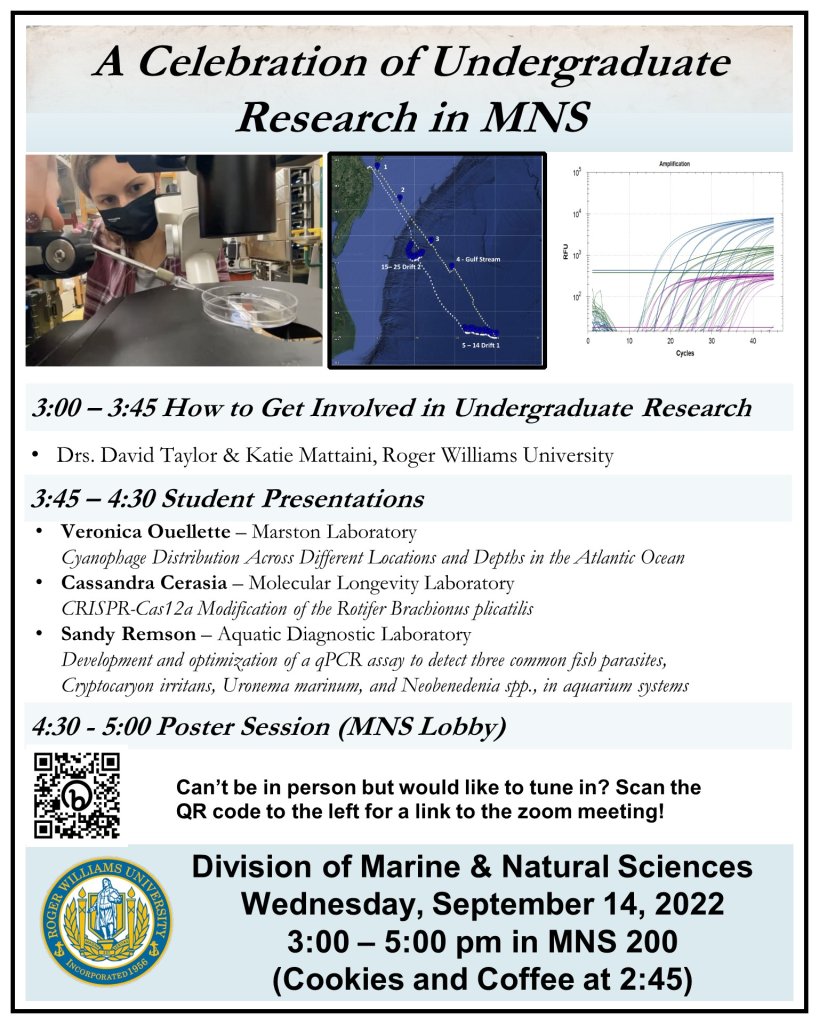 Celebrating Undergraduate Research 