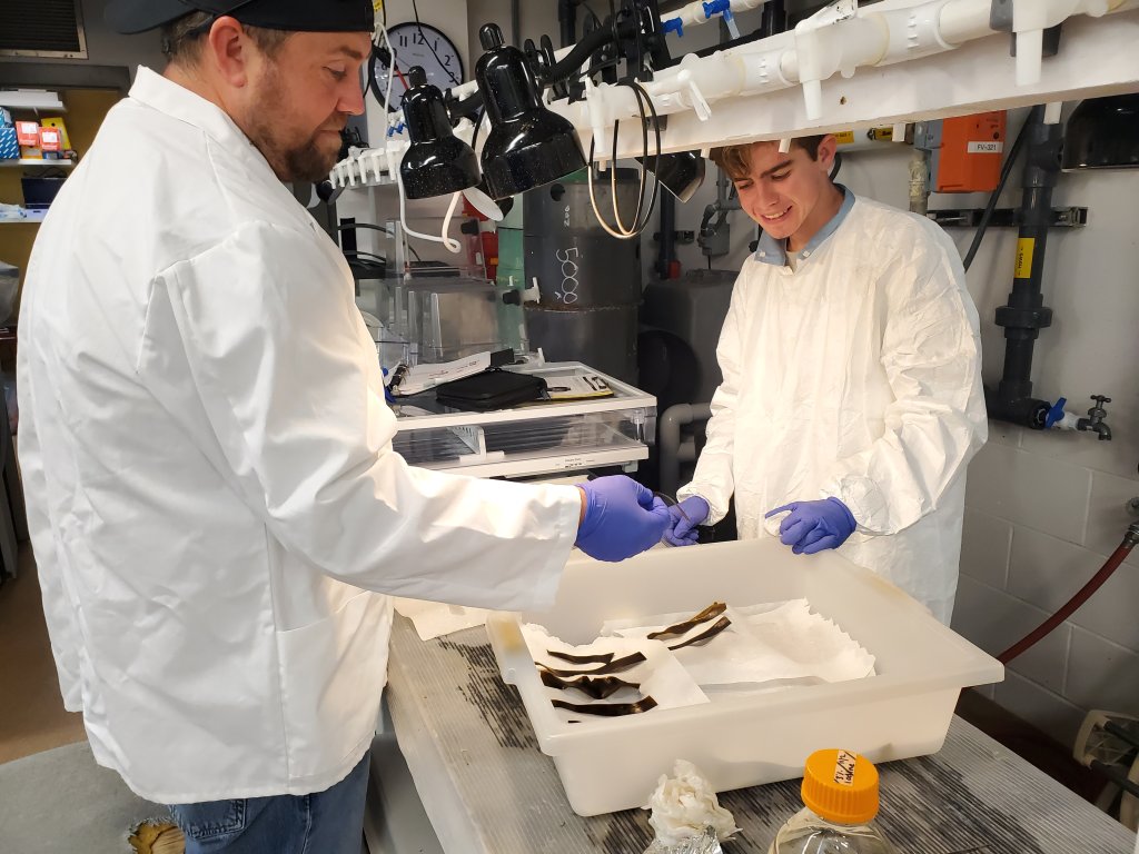 Students working in hatchery