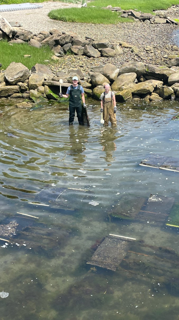 Ferrycliffe Shellfish Farm and Field Research