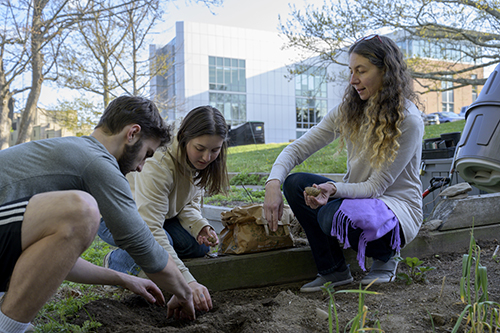 Three people working together in a community garden at RWU