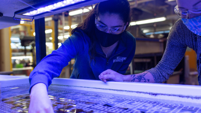 Student researches coral