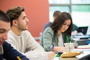 Students listen to classroom lecture.