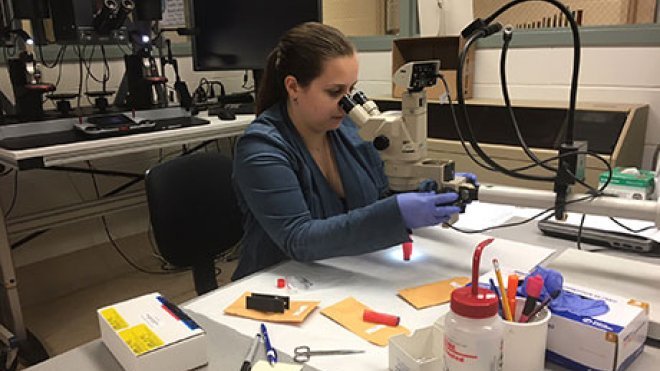 Student looks through a microscope.