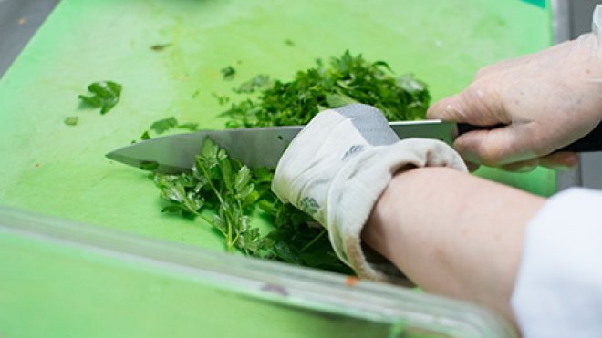 cilantro being cut