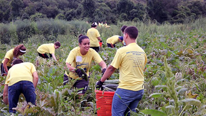 Students plant a vegetable garden.