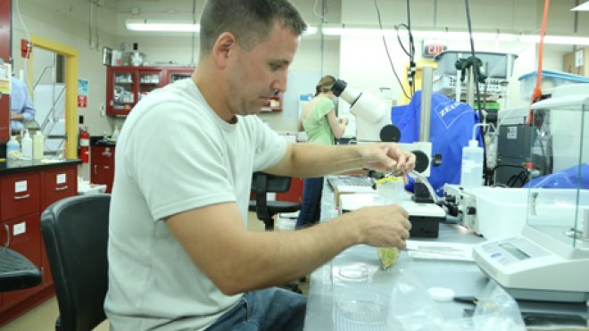 Professor works in lab