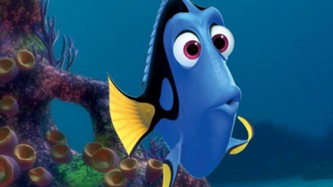 A cartoon tropical fish from a Disney movie.