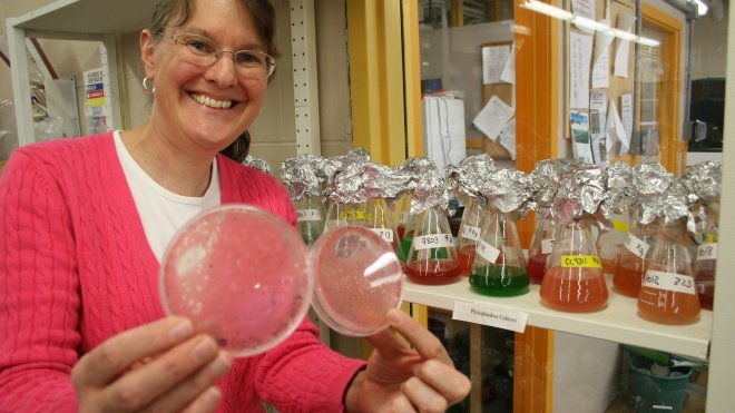 Marcia Marston holds up marine virus cultures.