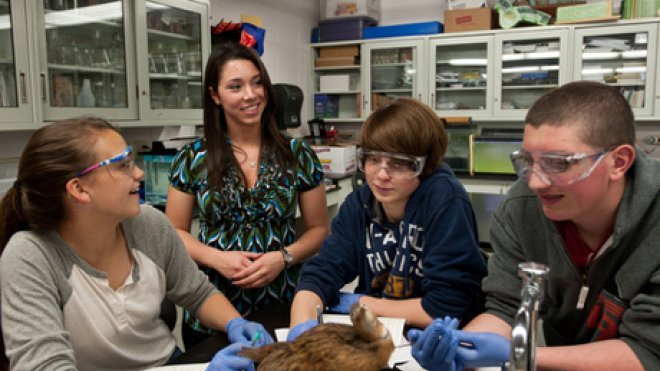 Student discusses a project with professors.