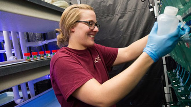 Student works on research project in the Wet Lab.