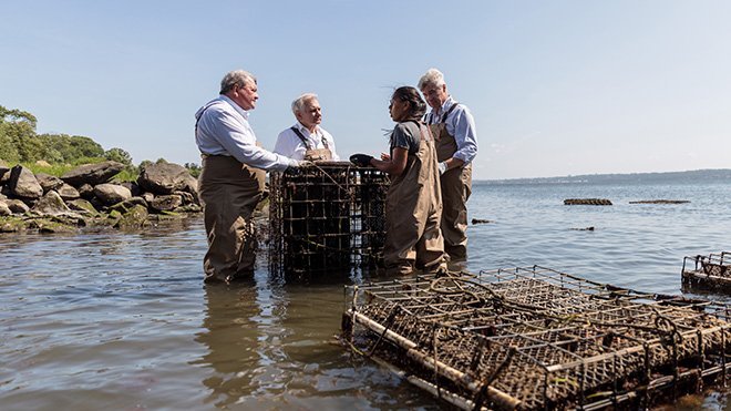 U.S. Senators Jack Reed and Sheldon Whitehouse, RWU President Ioannis Miaoulis, and Susanna Osinski, RWU's Shellfish Field Operations Manager, on a tour of the university’s oyster farm in Mount Hope Bay