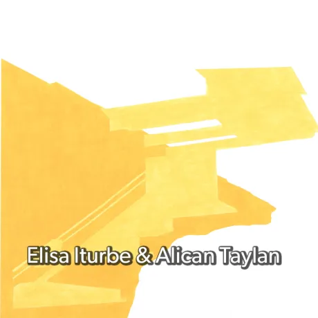 An image from Elisa Iturbe and Alican Taylan research