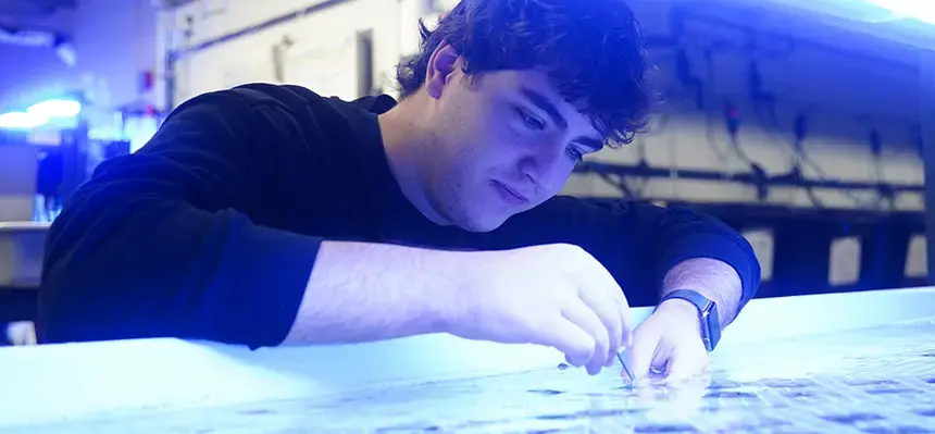 A student conducts coral research