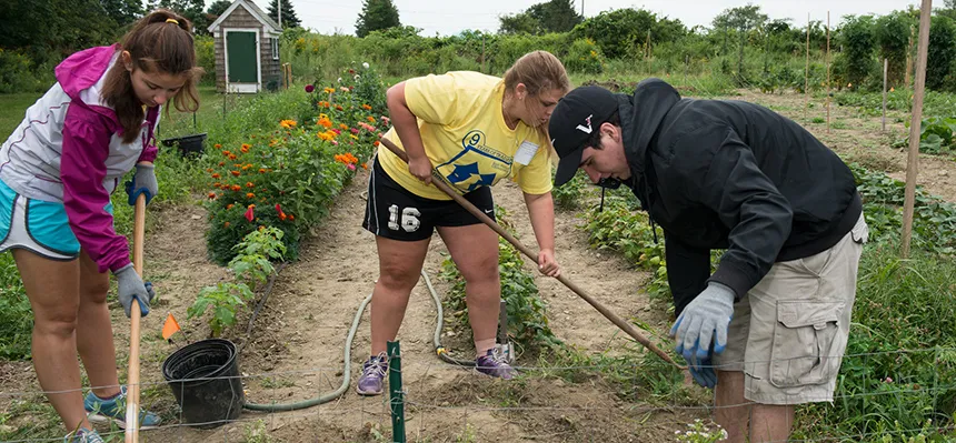 Students work on a farm