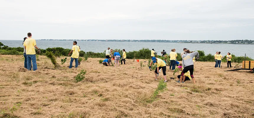 Students work together outdoors on community engaged project
