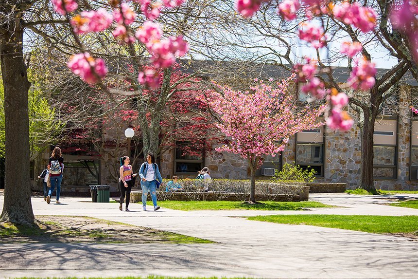 Students walking on campus