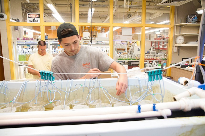 A student in the Wet Lab 