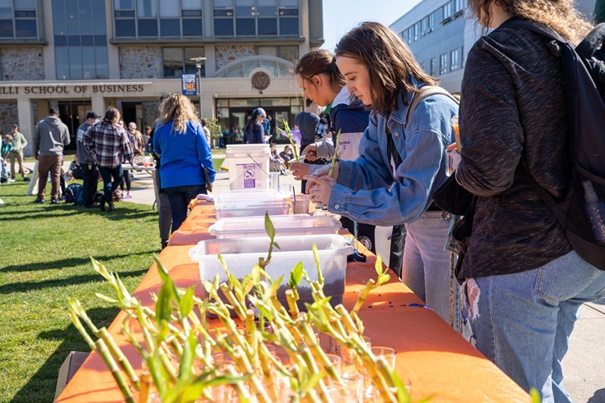 Students making bamboo plants. 