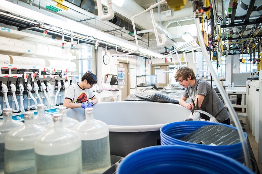 Two students in the Wet Lab 