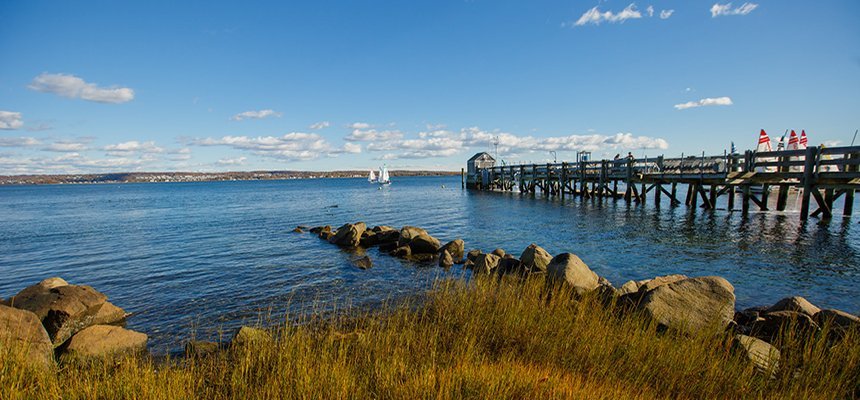 Water by dock