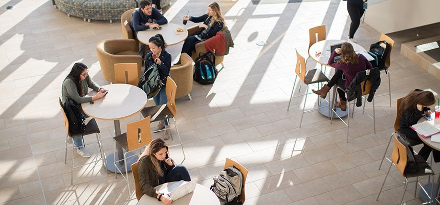 Students studying at tables in RWU's Global Heritage Hall