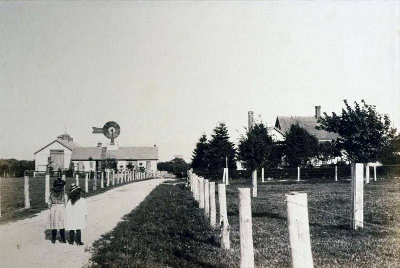 Howe sisters looking down the land toward Ferrycliffe Farm buildings.