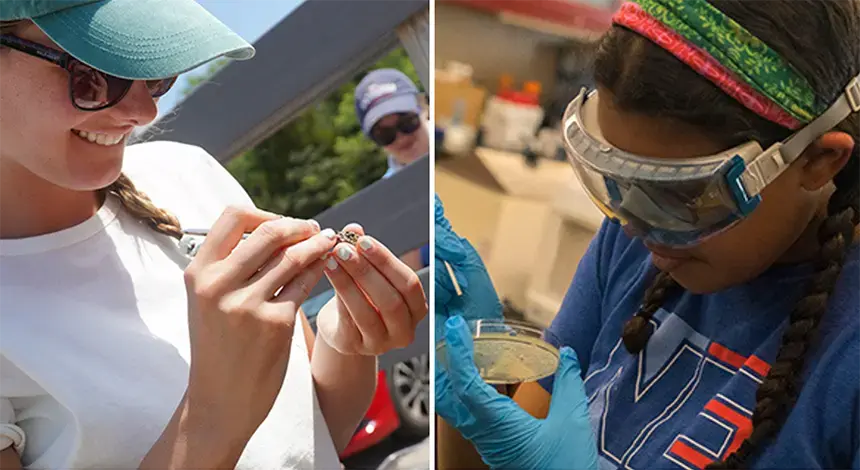 Marine Biology students doing research